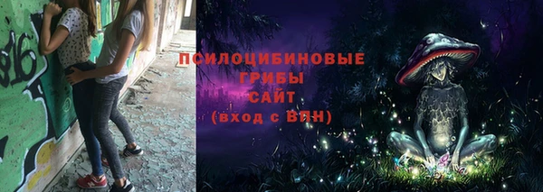 apvp Горнозаводск