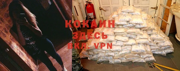 apvp Горнозаводск